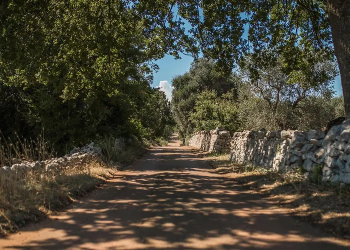 Trullo Radici Antiche בית נופש צ'יסטרנינו
